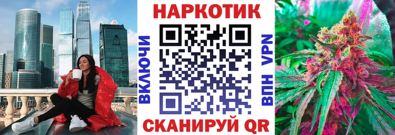 Бошки Шишки Борзя