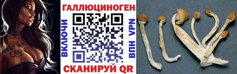 где можно купить наркотик  Борзя  hydra маркетплейс  Псилоцибиновые грибы MAGIC MUSHROOMS 